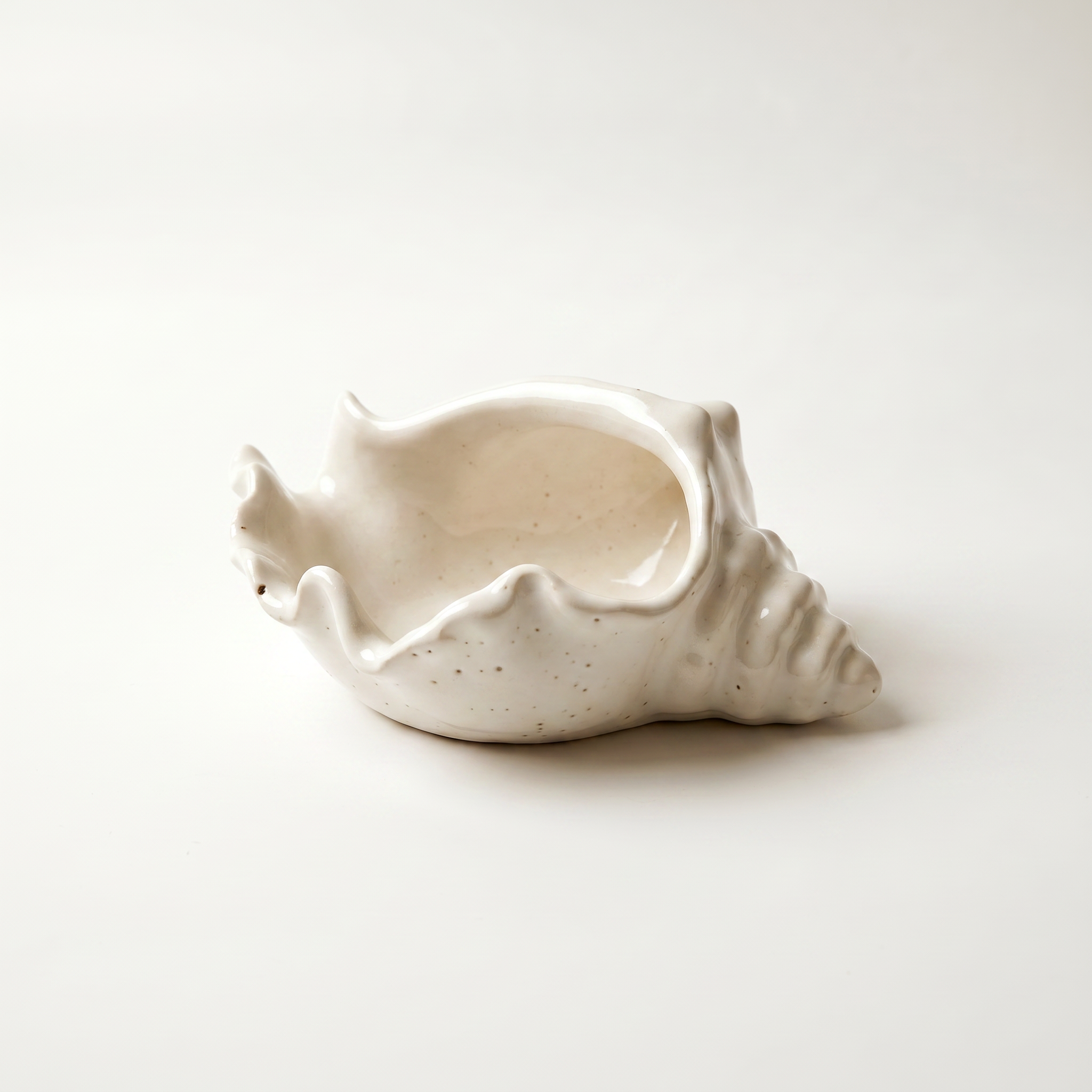 Conch Shell Bowl