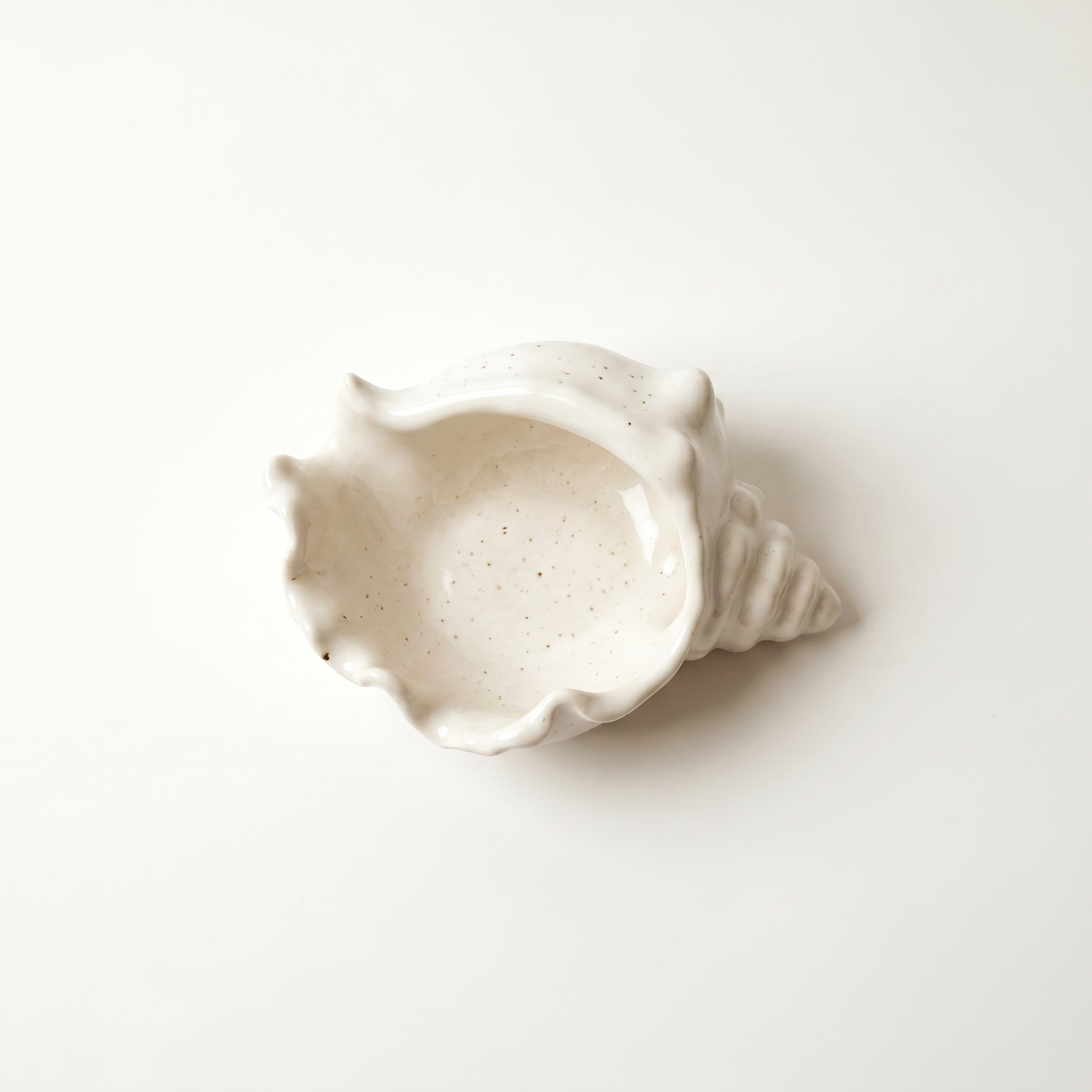 Conch Shell Bowl