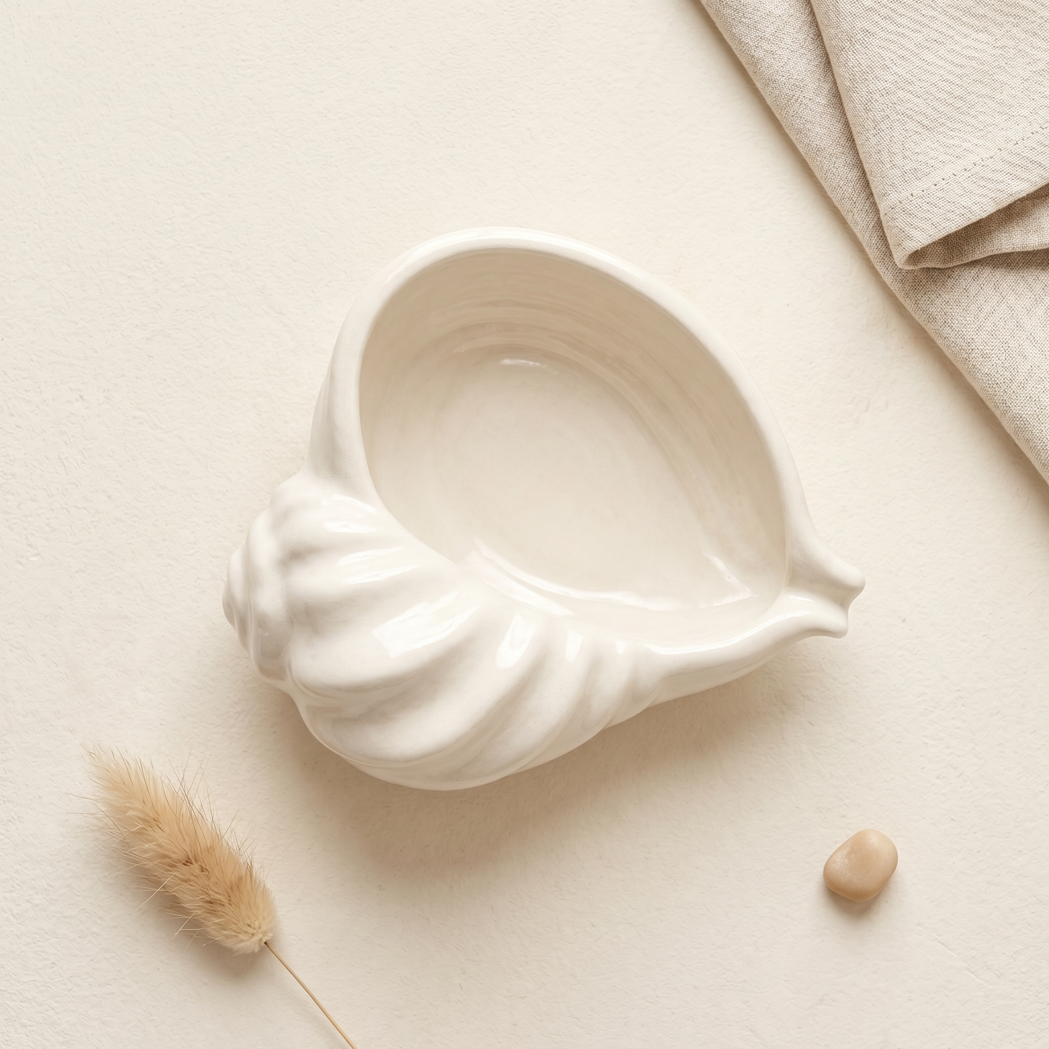 Nautilus Shell Bowl