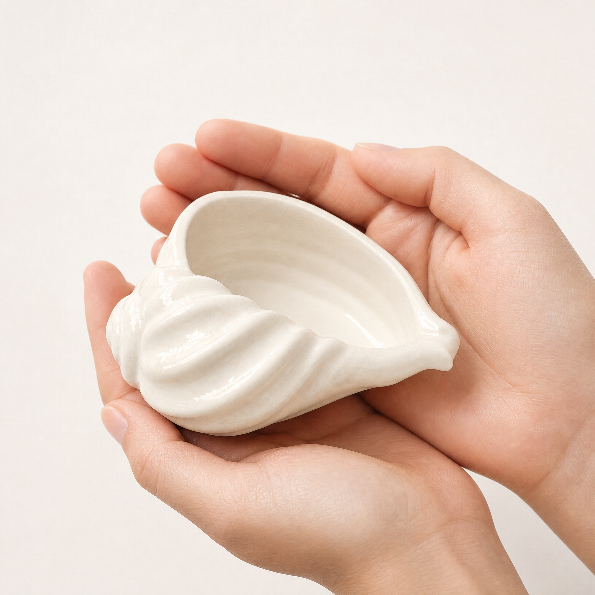 Nautilus Shell Bowl