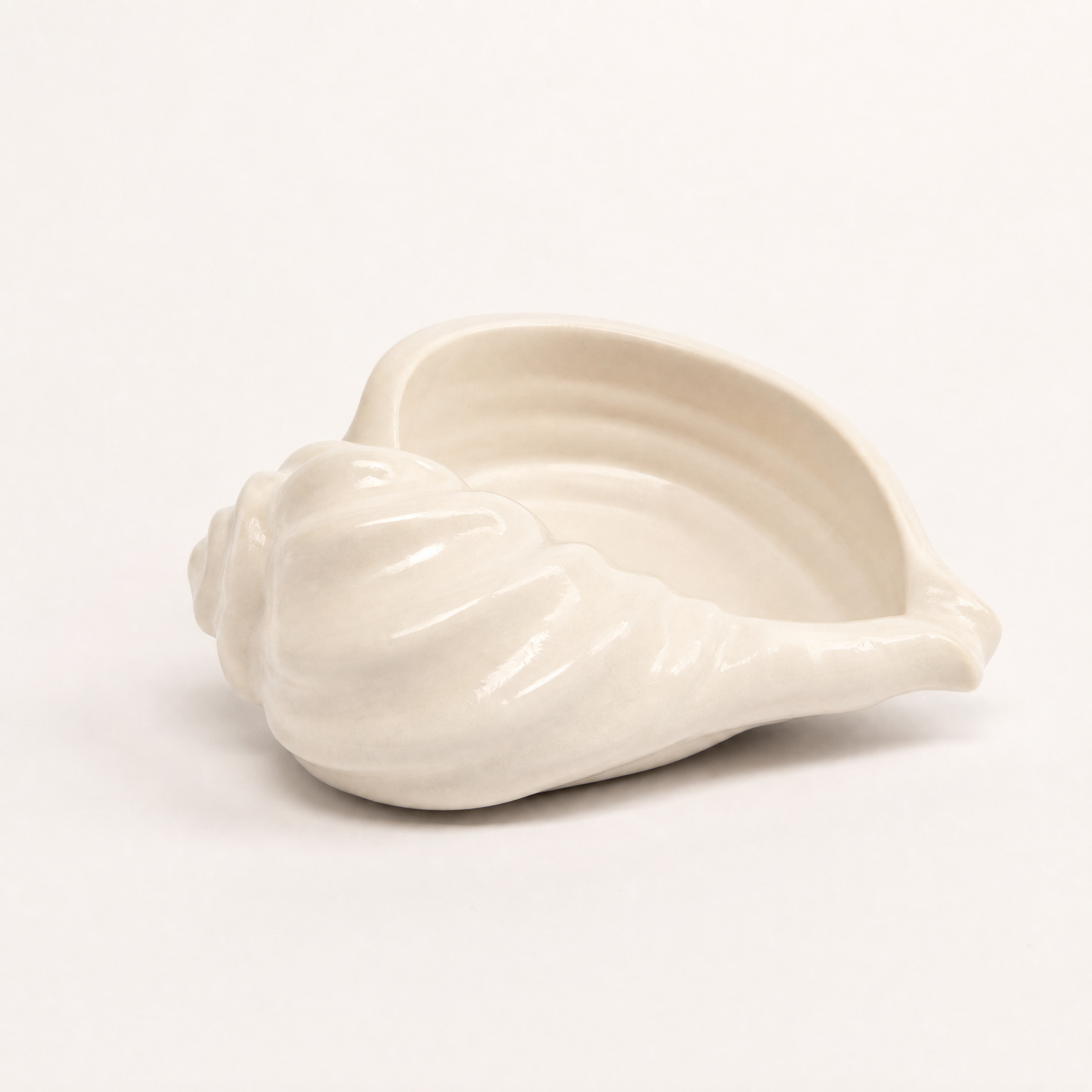Nautilus Shell Bowl