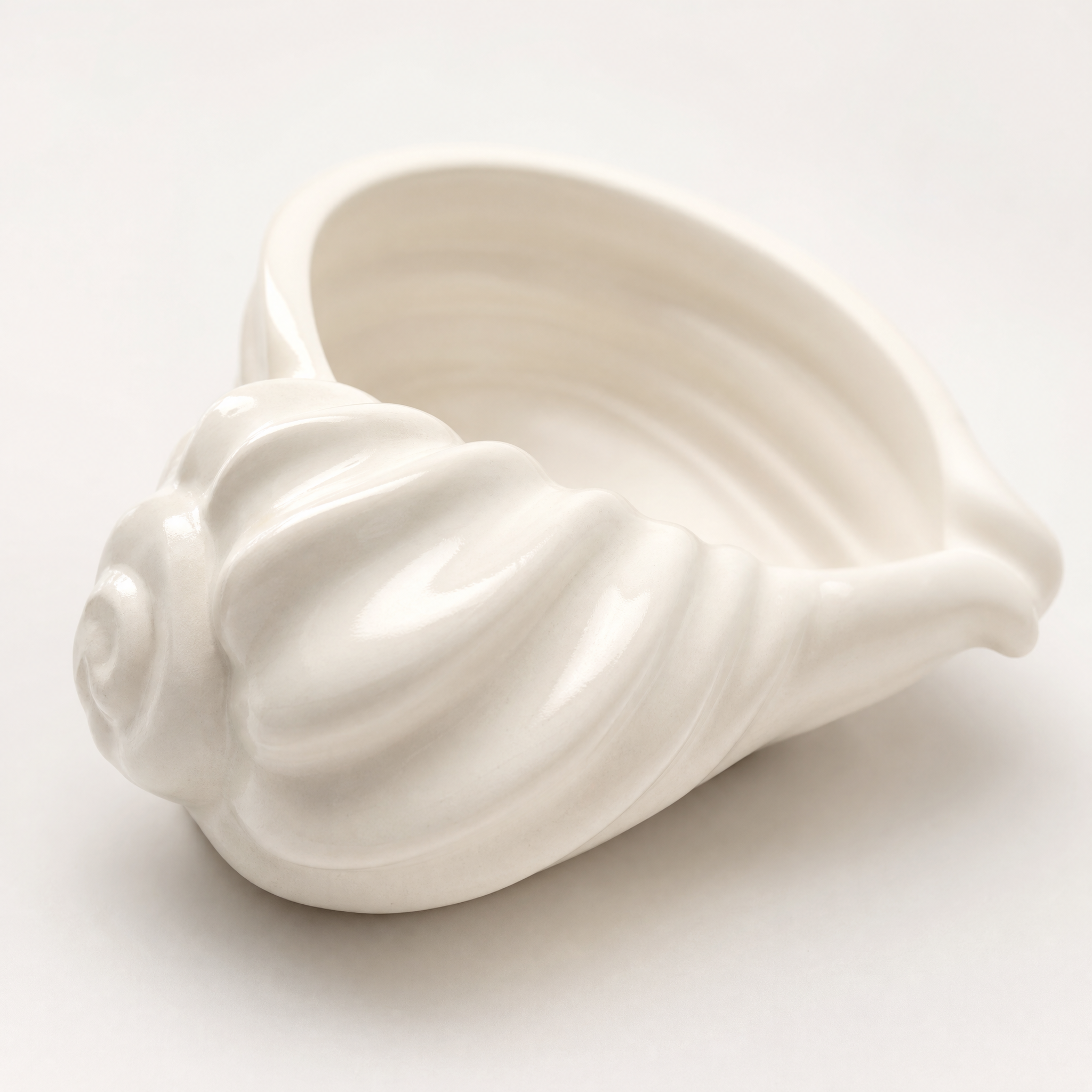 Nautilus Shell Bowl