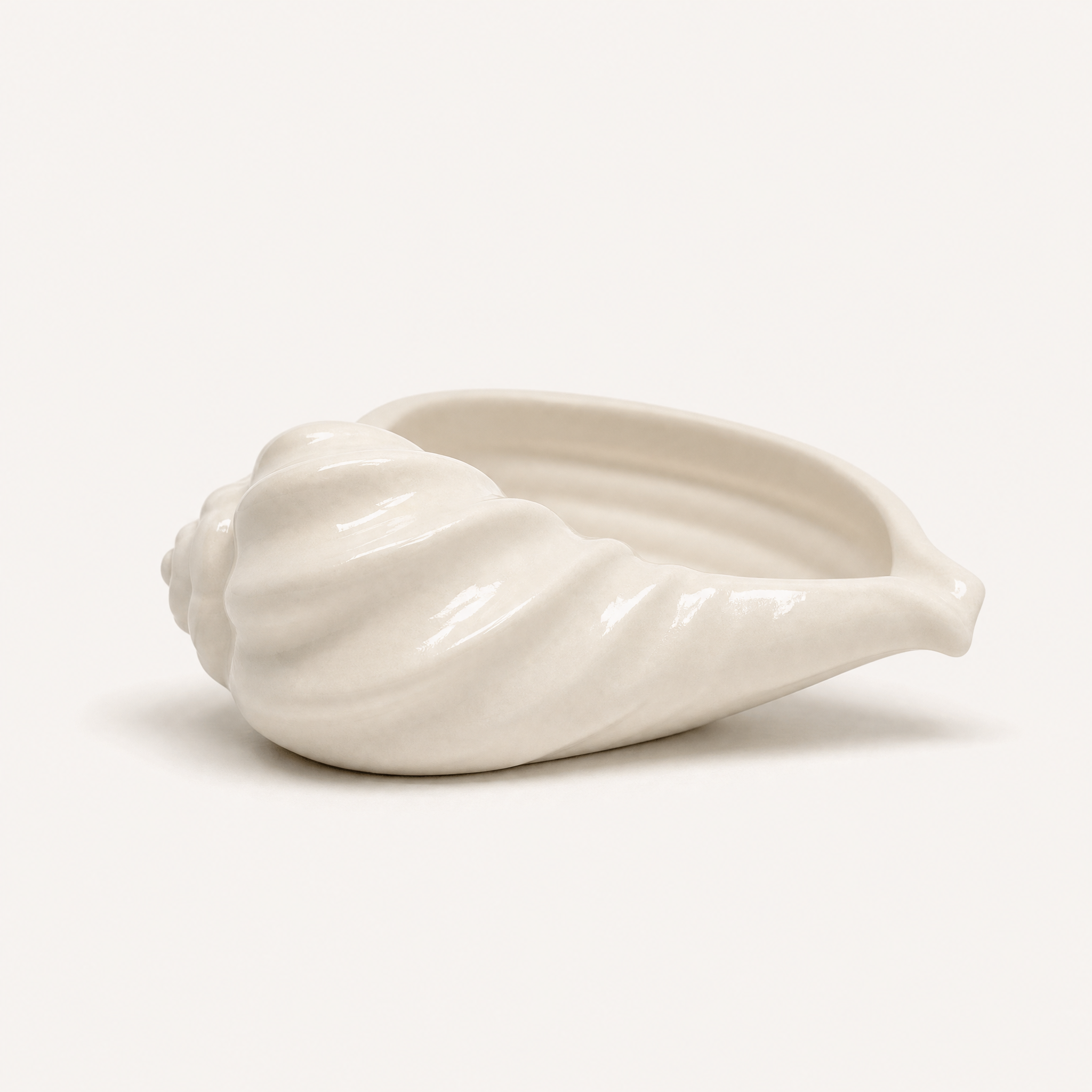 Nautilus Shell Bowl