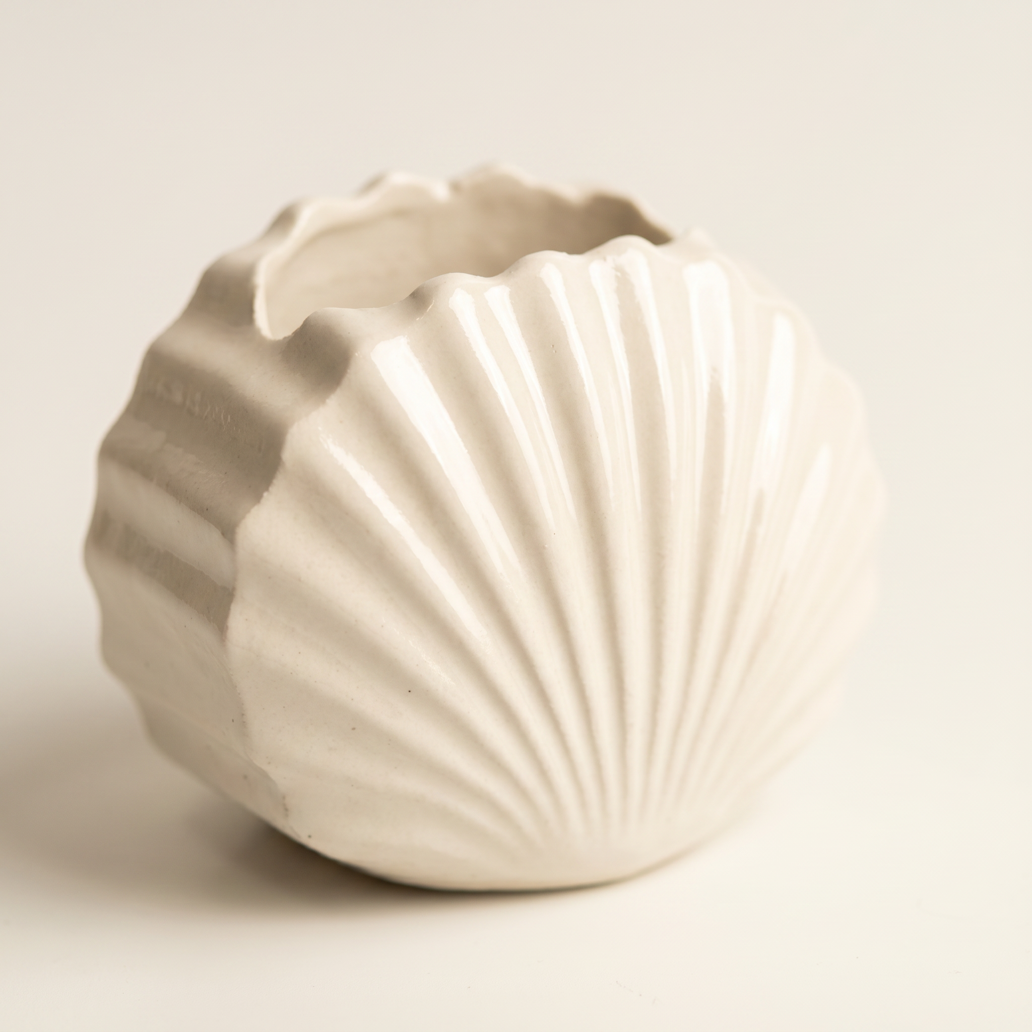 Mini Clam Shell Catchall