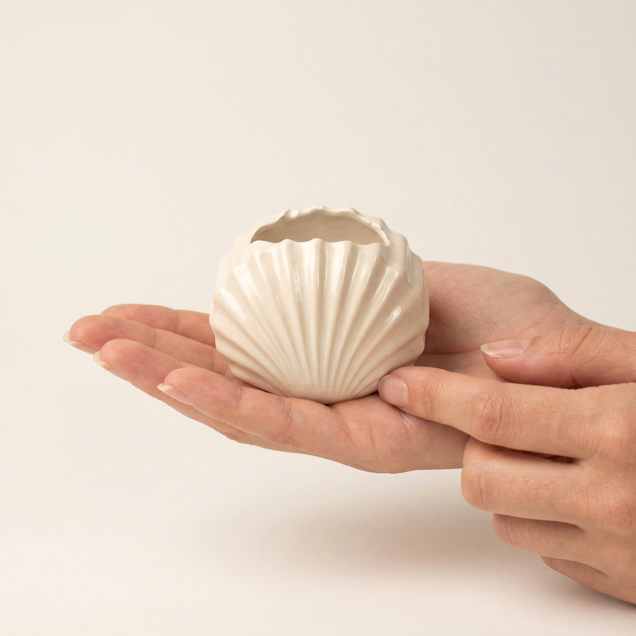 Mini Clam Shell Catchall