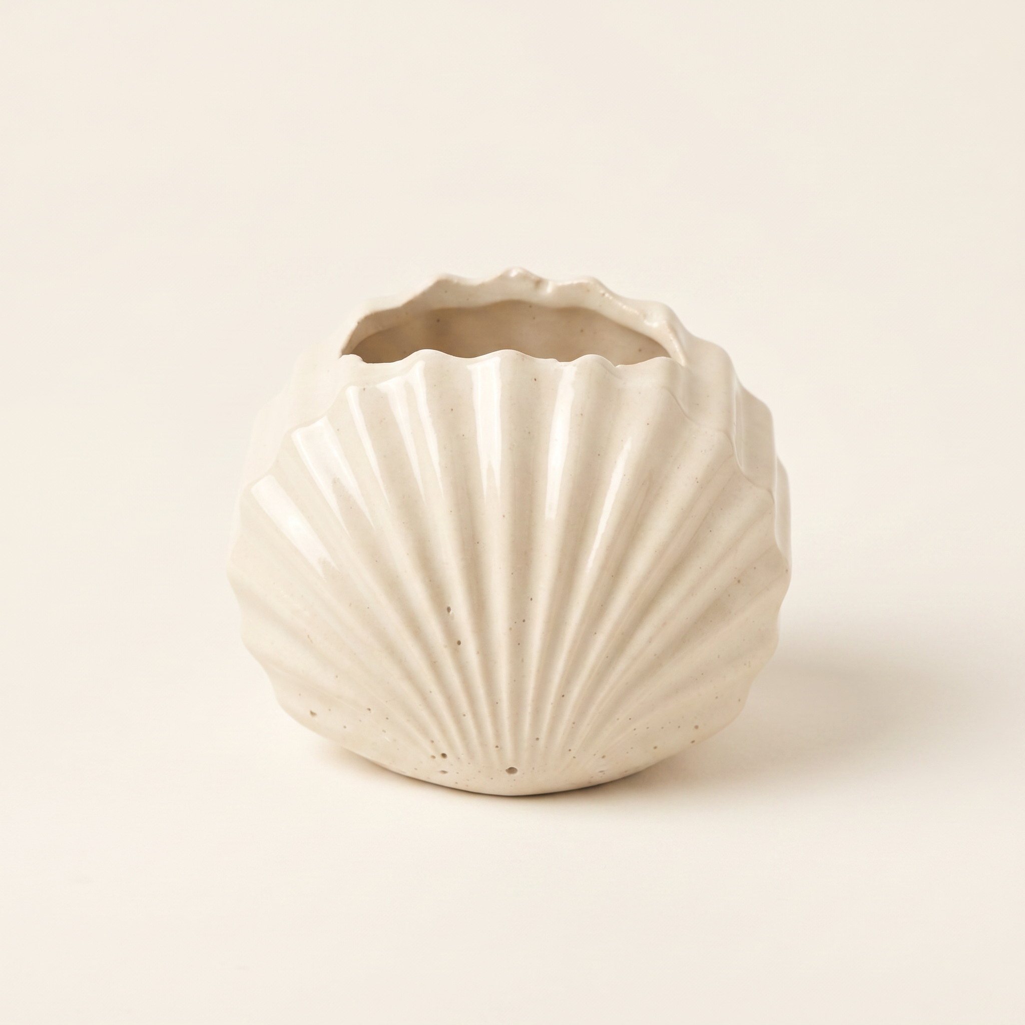 Mini Clam Shell Catchall