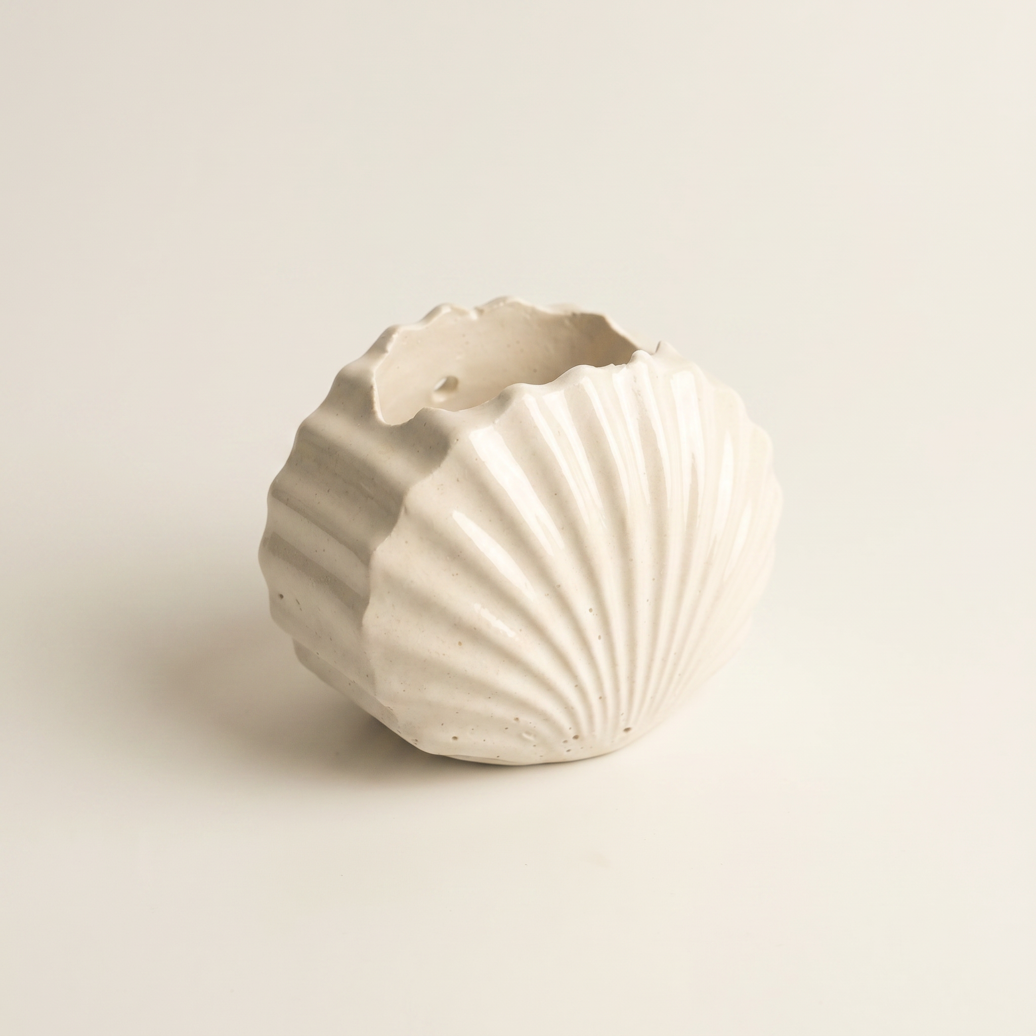 Mini Clam Shell Catchall