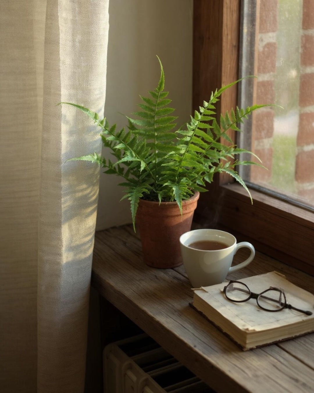 Faux fern in terracotta pot