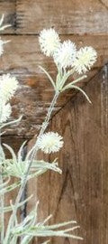 Puff Blossom Stems — Purple or White, 29 in