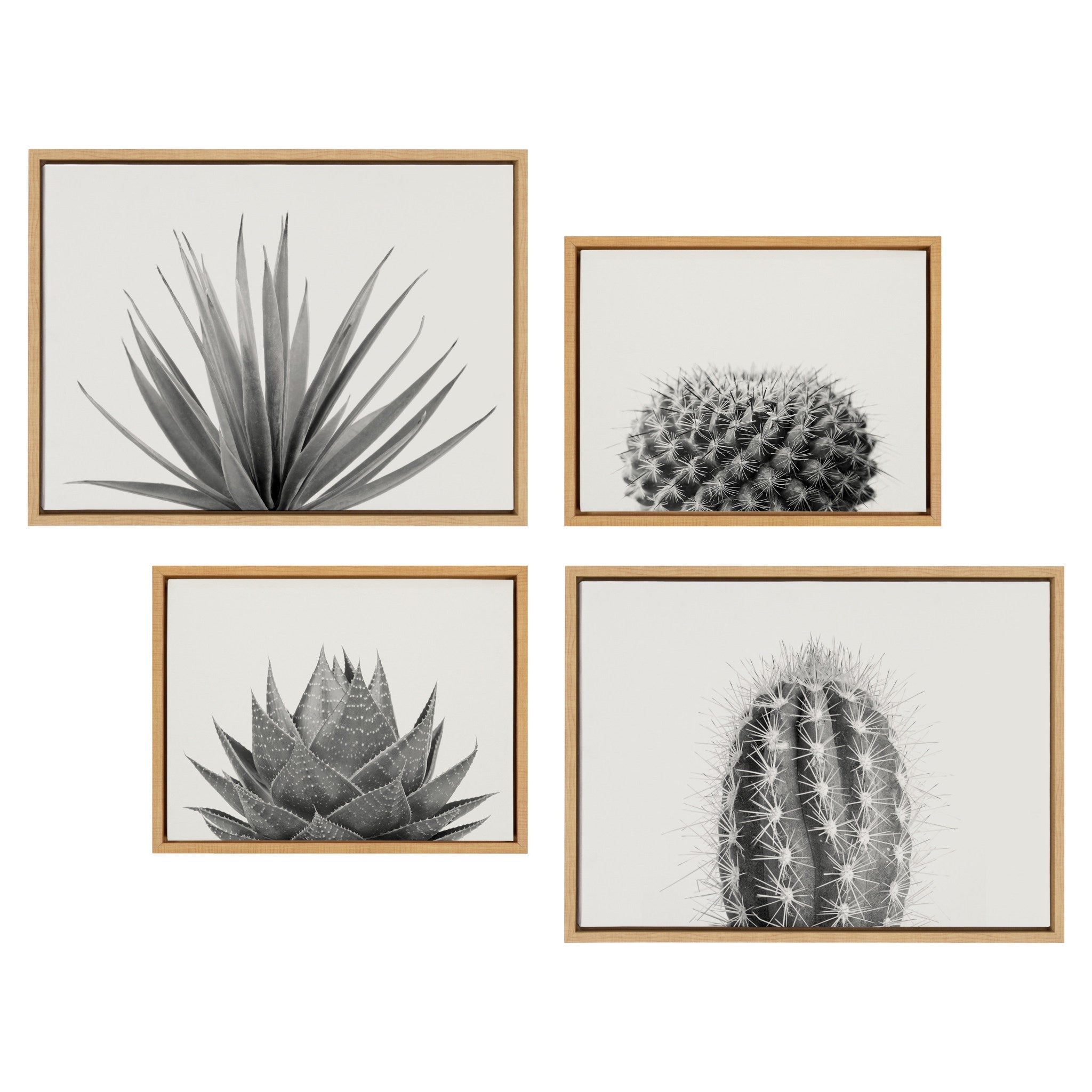 Sylvie Haze Succulent & Cactus 4-Piece Framed Canvas Art Set