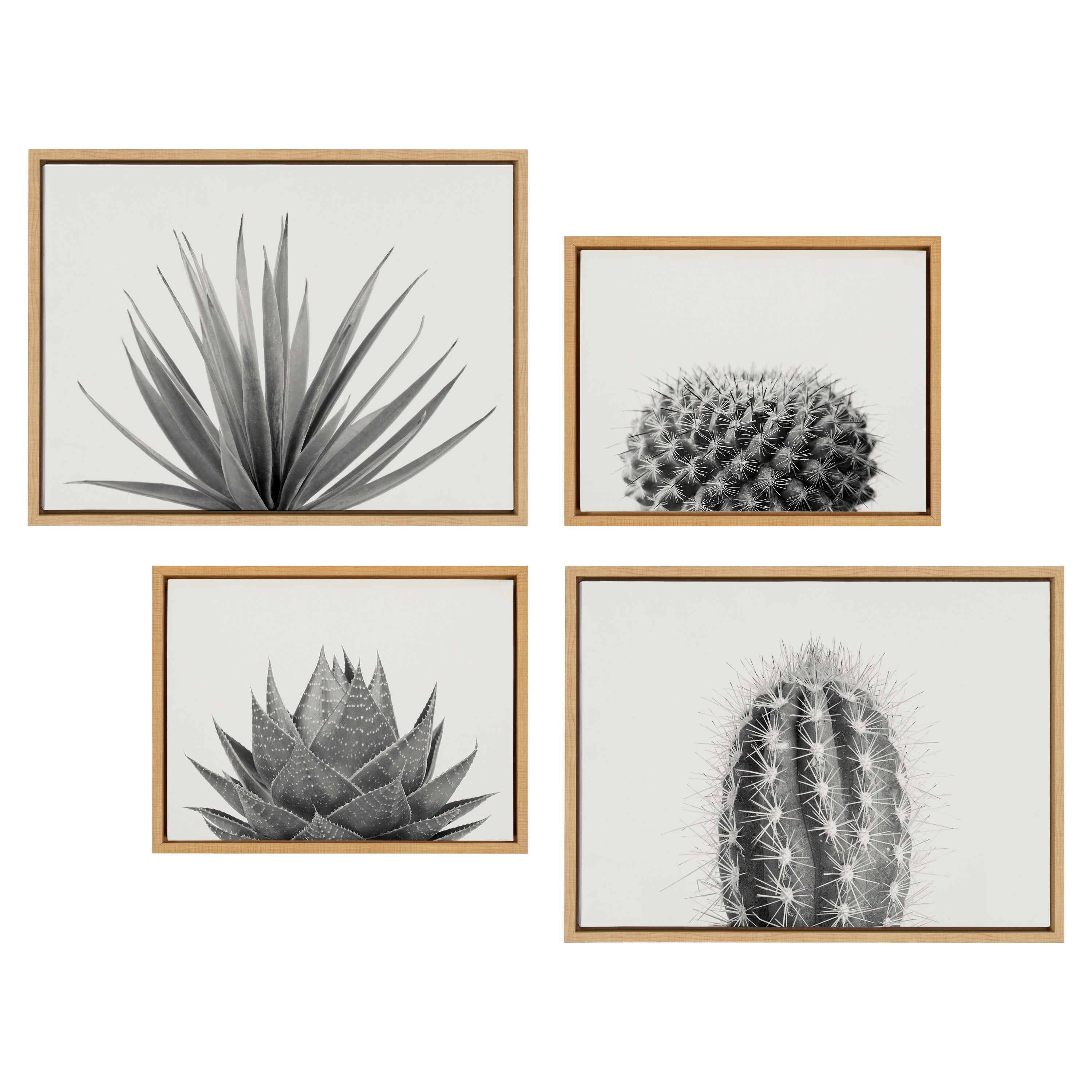 Sylvie Haze Succulent & Cactus 4-Piece Framed Canvas Art Set