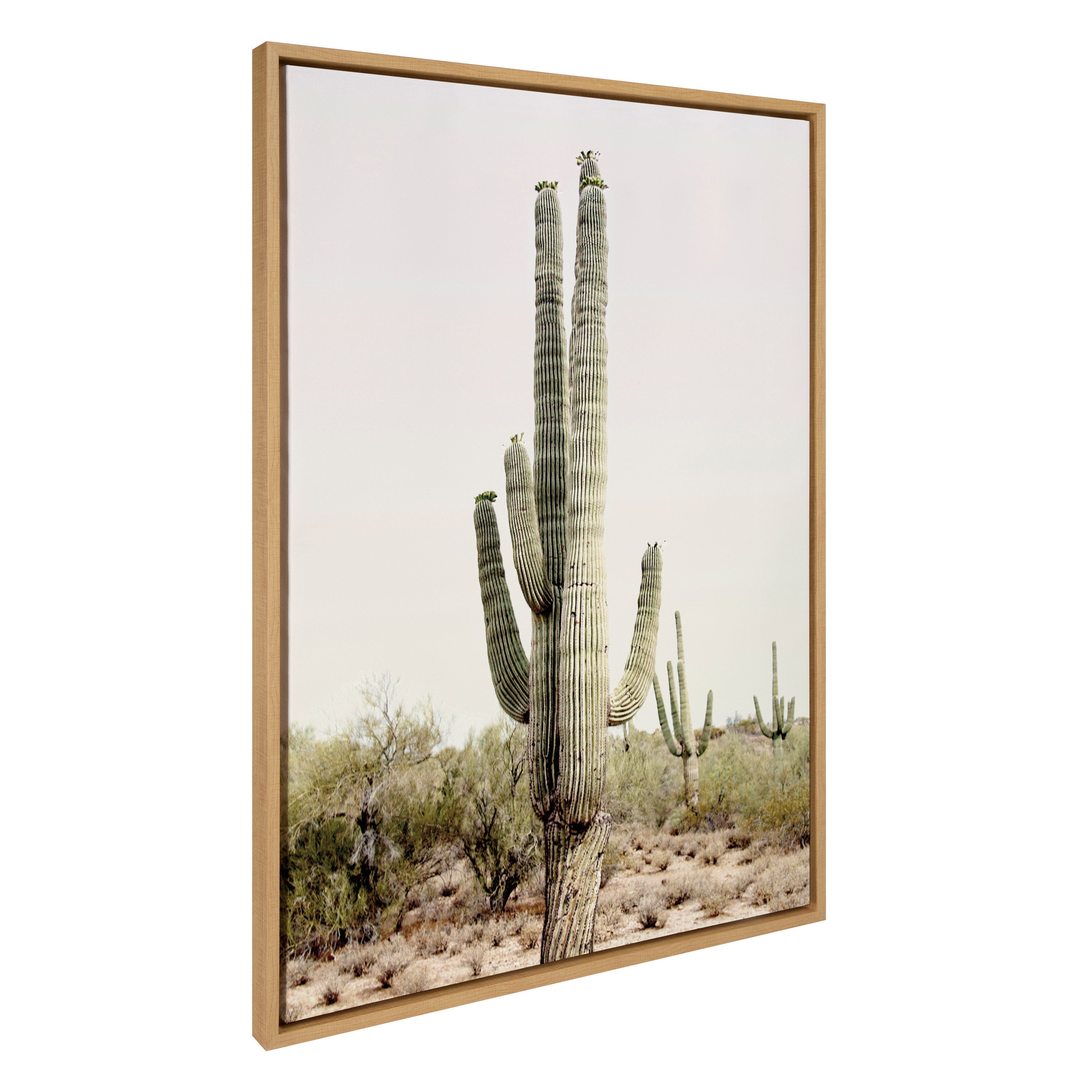 Sylvie Sunrise Cactus Framed Canvas Art